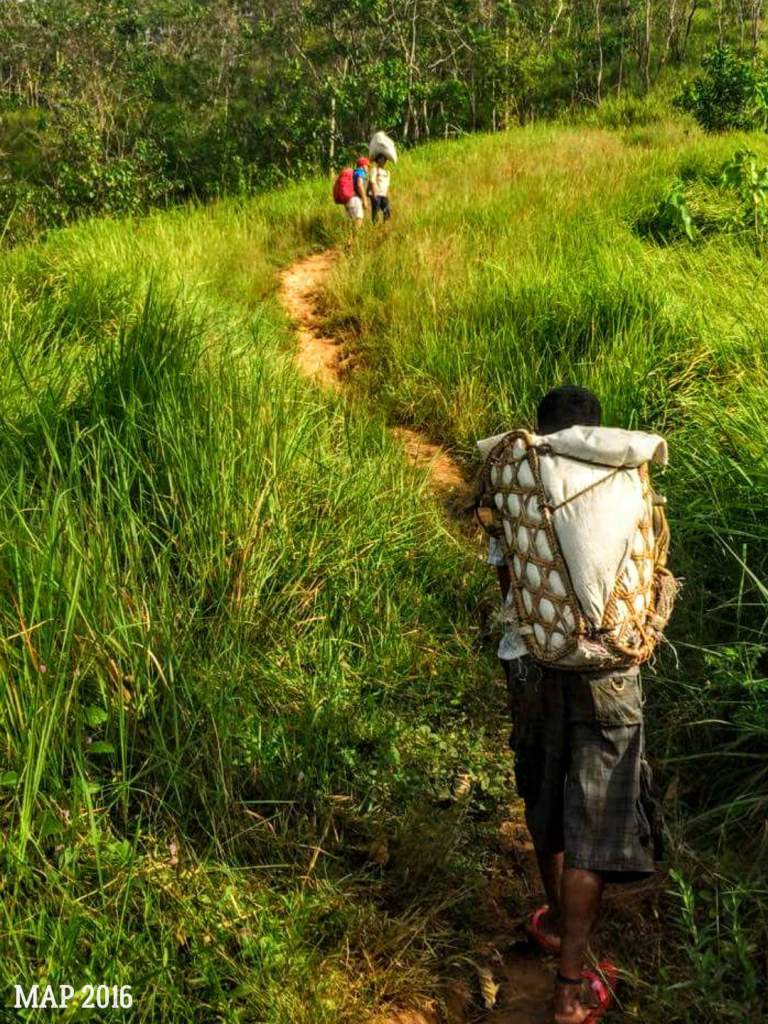 14859579_1371580386194457_1267030727_o